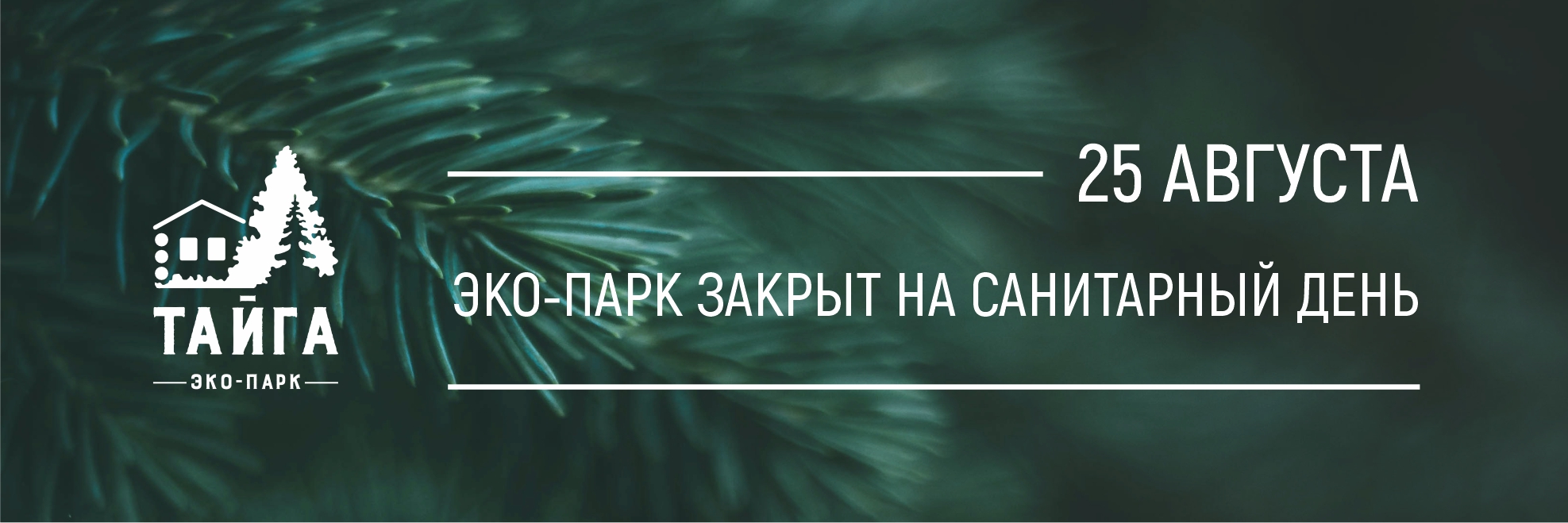 Санитарный день