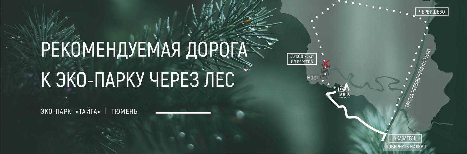 Дорога к эко-парку